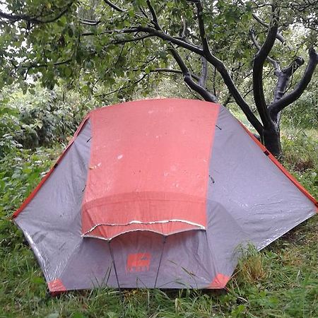 Issyk-Kul - Camping Grigoryevka Hotel Grigor'yevka Luaran gambar