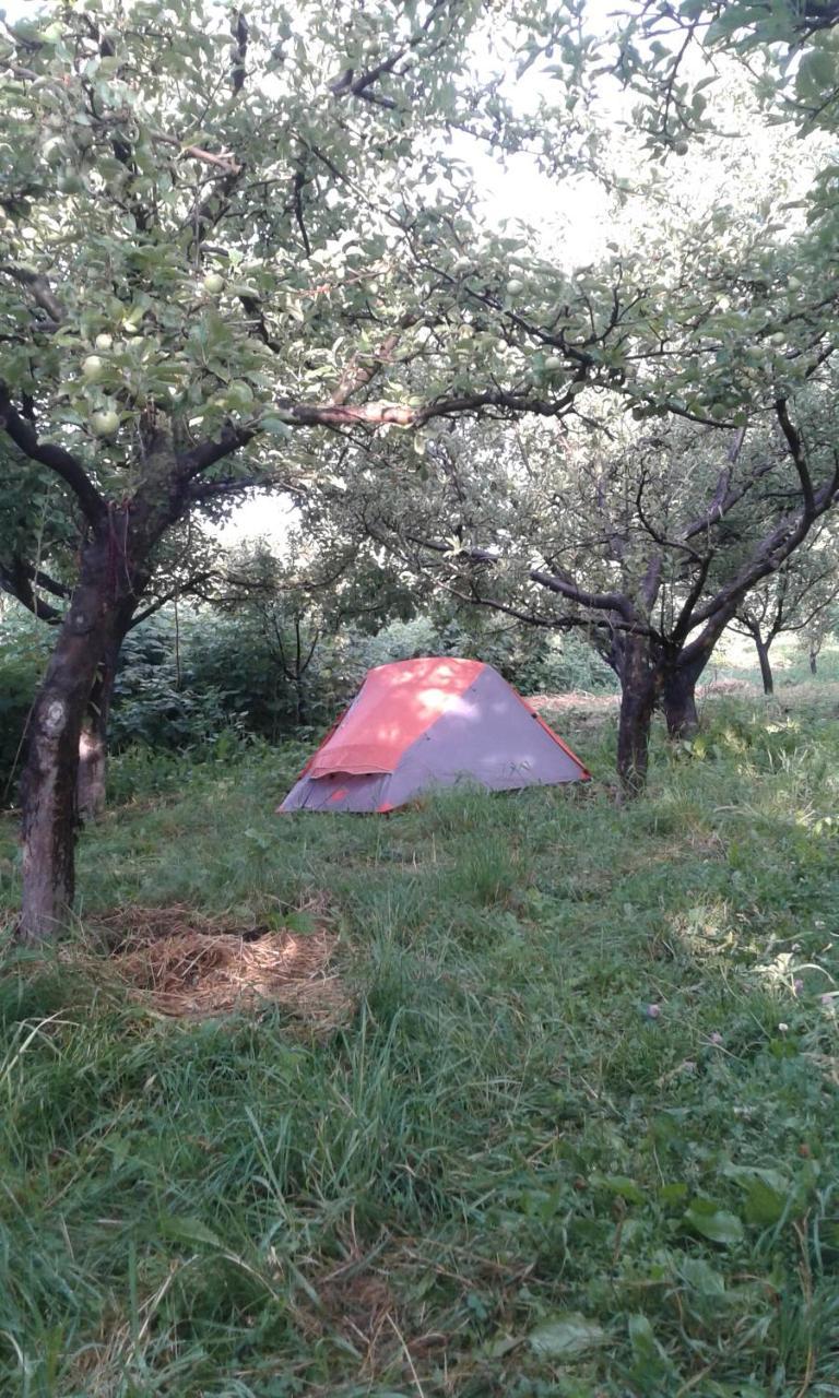 Issyk-Kul - Camping Grigoryevka Hotel Grigor'yevka Luaran gambar