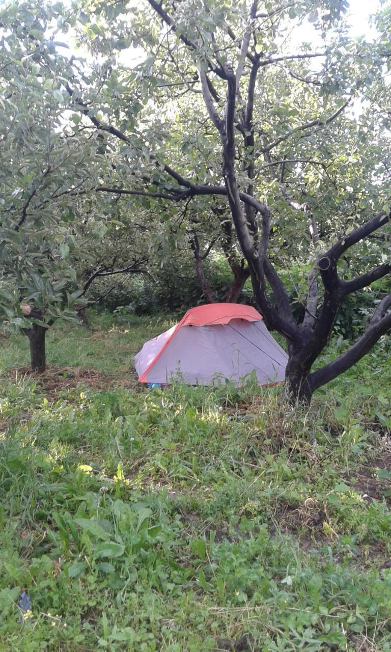 Issyk-Kul - Camping Grigoryevka Hotel Grigor'yevka Luaran gambar