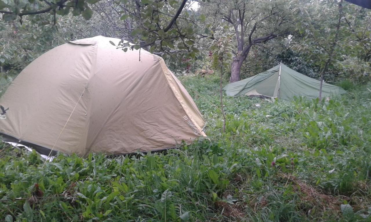 Issyk-Kul - Camping Grigoryevka Hotel Grigor'yevka Luaran gambar
